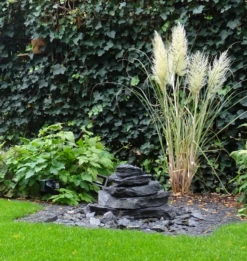 Amerikanisches Pampasgras / Silber-Pampasgras -Angebote Wurzel Zeit Store amerikanisches pampasgras silber pampasgras m003058 924437 0