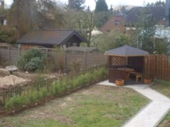 Bambus 'Jumbo' -Angebote Wurzel Zeit Store bambus jumbo m006996 271123 0