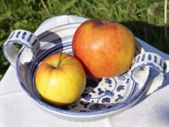 Sommerapfel 'James Grieve' -Angebote Wurzel Zeit Store sommerapfel james grieve m000558 w 2