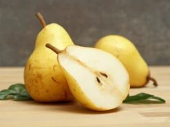 Sommerbirne 'Williams Christ'