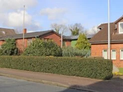 Stechpalme 'Blue Prince' ® -Angebote Wurzel Zeit Store stechpalme blue prince m002456 w 0