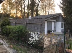 Vogelnährgehölze Aus 10 Pflanzen -Angebote Wurzel Zeit Store vogelnaehrgehoelze aus 10 pflanzen m010235 565902 0